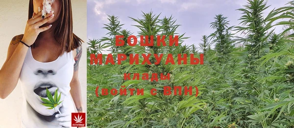 первитин Бородино