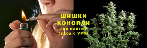 мдпв Бронницы