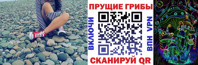 Псилоцибиновые грибы мухоморы  купить наркоту  Голицыно 